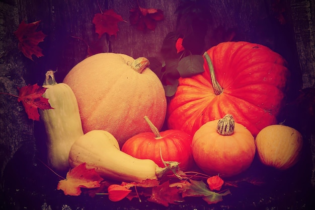 Fresh colored pumpkins group on a wooden dark vintage table.Toned vintage image.