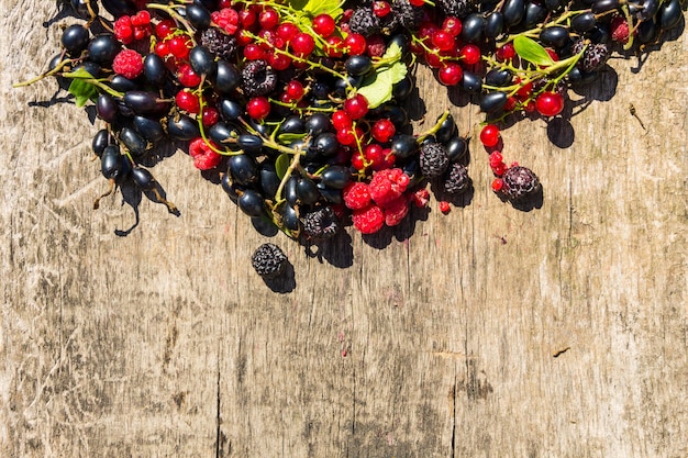 Fresh colorful berries on wooden background. Blackberries, raspberries, red and black currant on table. Healthy eating and dieting concept. Top view with copy space