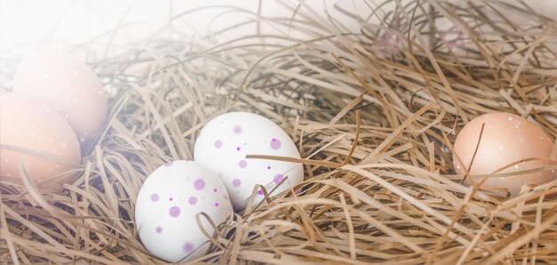 Fresh colorful eggs on basket and hay close up