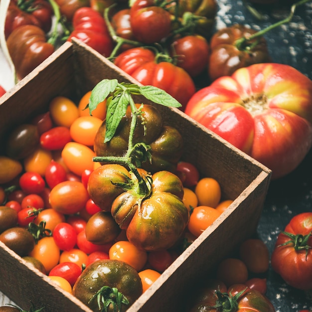 Fresh colorful heirloom bunch and cherry tomatoes square crop