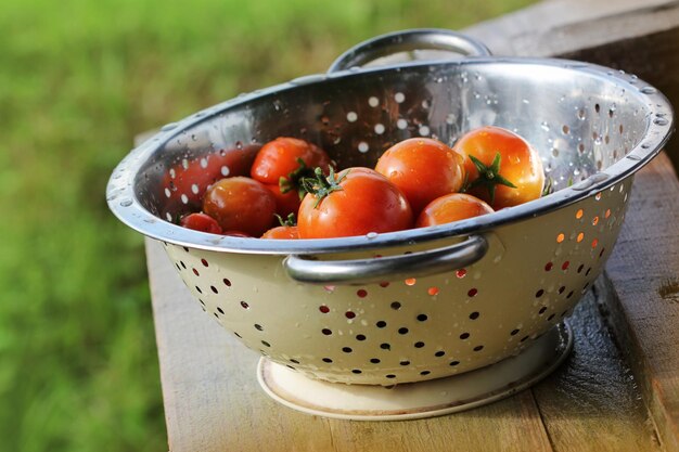 鮮やかな色とりどりの熟したトマトを<unk>で収する 野菜の調理コンセプト