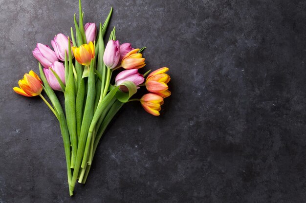 Fresh colorful tulip flowers