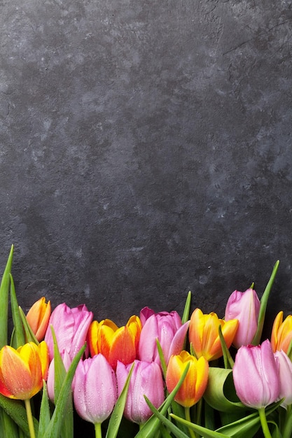 Fiori di tulipano colorati freschi