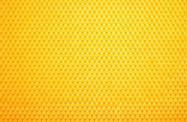 Fresh comb honey background texture