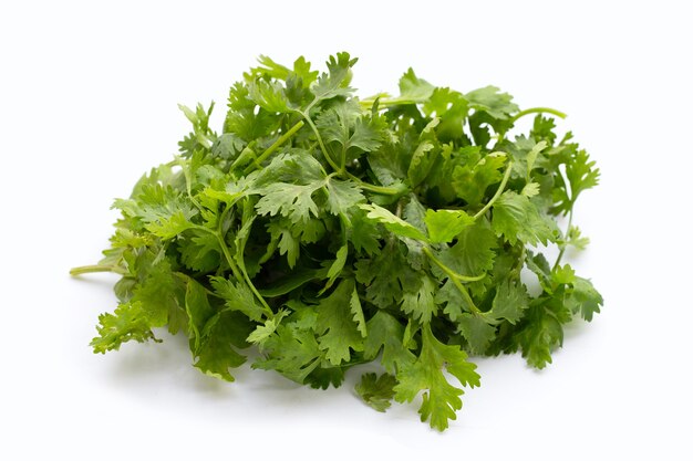 Fresh coriander leaves on white background.