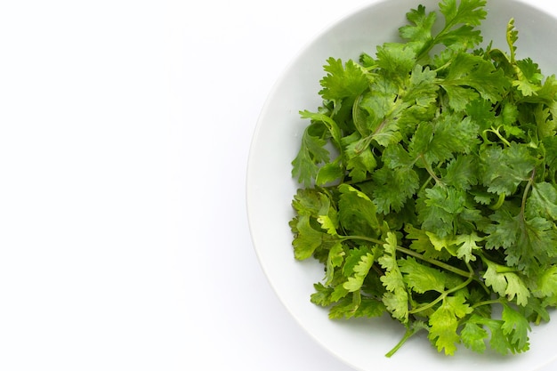 Fresh coriander leaves in white plate on white background.