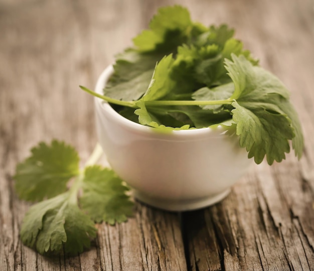 Fresh coriander leaves on wooden surface