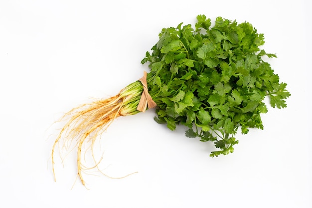 Fresh coriander on white background.