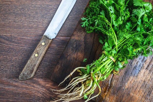 Fresh coriander on a wooden chopping board