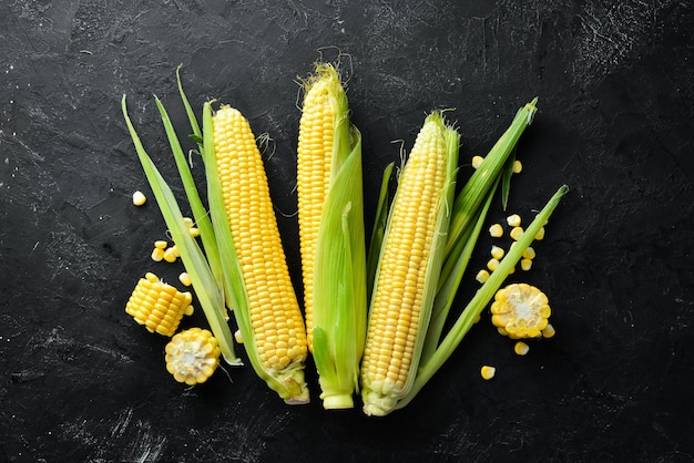 Fresh corn on a black background Vegetables Top view Free copy space