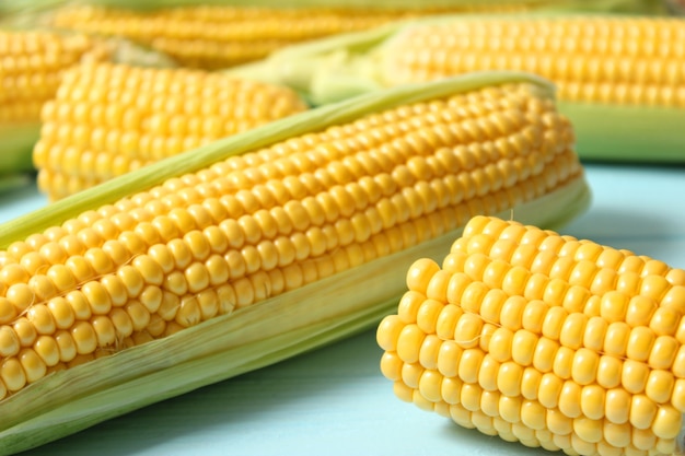 Fresh corn closeup on the table closeup