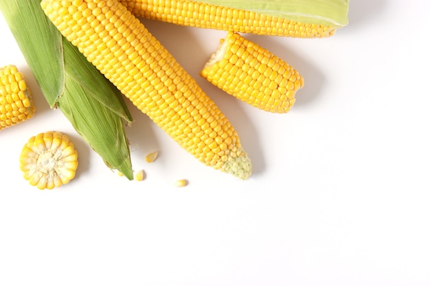 Fresh corn closeup on the table closeup