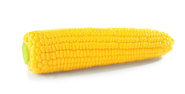 Fresh corn cob isolated on white