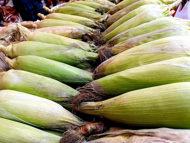 Pannocchie di mais fresche per la vendita su un mercato degli agricoltori