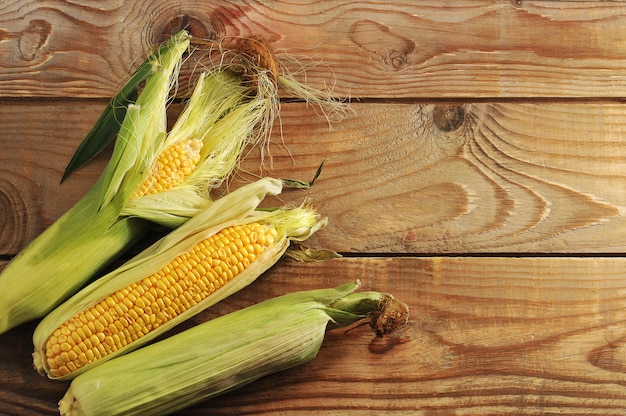 Fresh corn on the cob  with a whole cob with leaves 