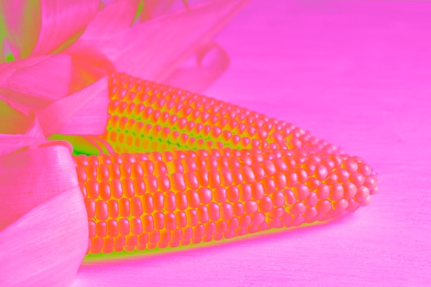 Fresh corn on the cob on a wooden white table closeup in neon colors