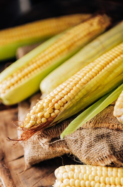 Fresh corn on the cob