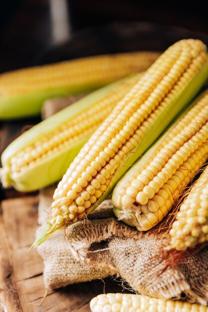 Fresh corn on the cob