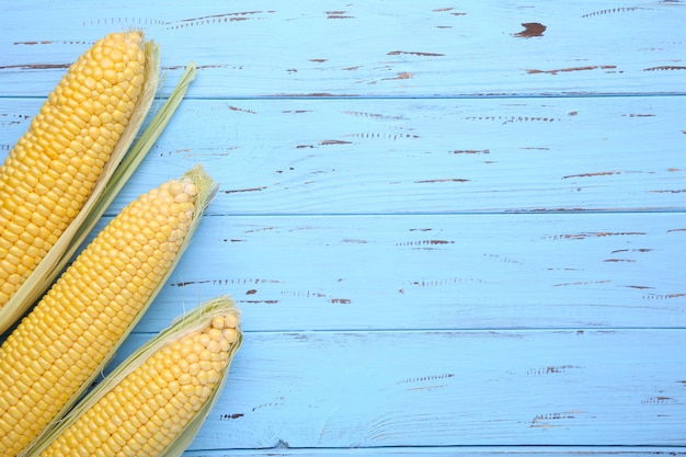 Fresh corn on cobs on a blue wooden table, closeup