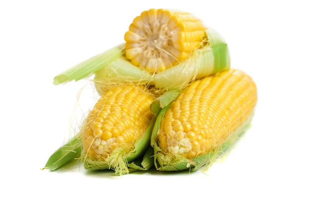 Fresh corn cobs isolated on white background