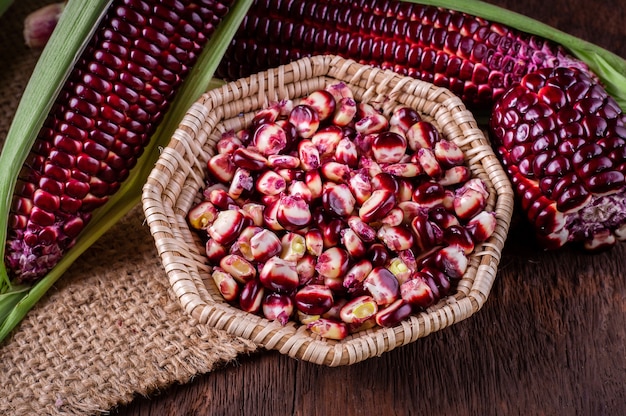 fresh corn on cobs on rustic wooden table, closeup