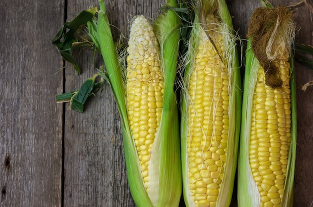 Fresh corn cobs on wooden