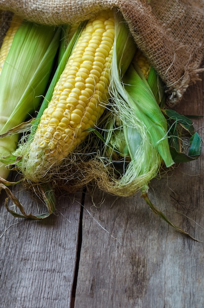 Fresh corn cobs on wooden