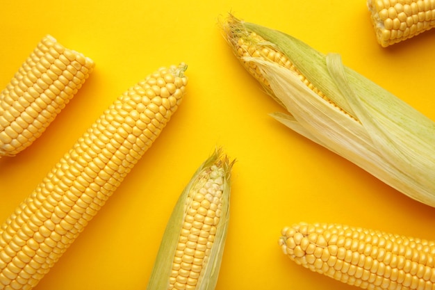 Fresh corn on cobs on yellow background