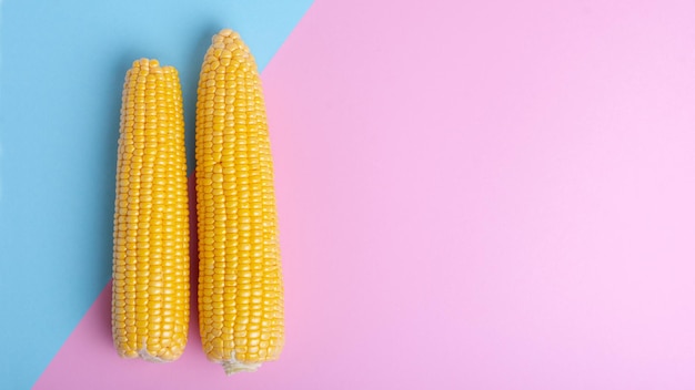 Fresh corn on a colored background Scattered grains halves of the product