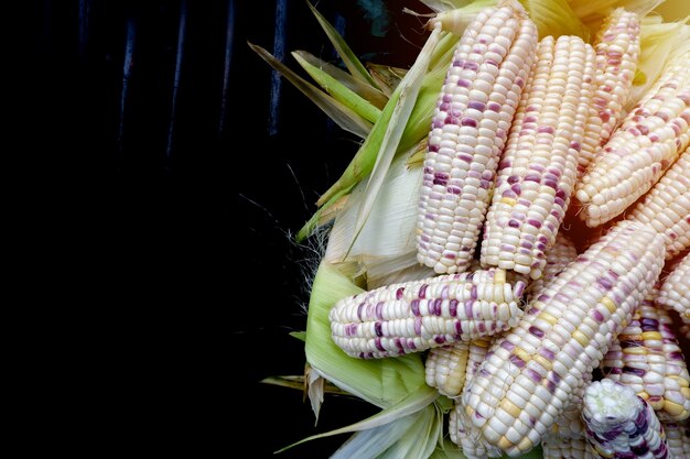 Photo fresh corn on corn bark and a black background, product of thailand.