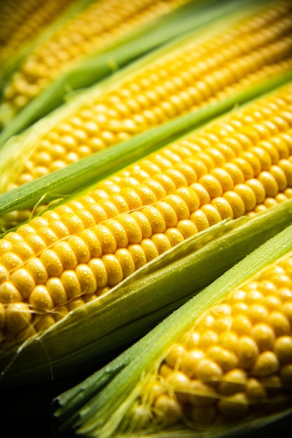 Fresh corn on a cutting board