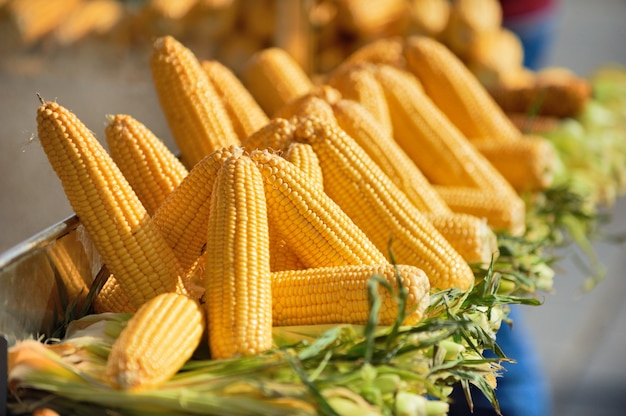 Photo fresh corn is famous street food of istanbul, turkey