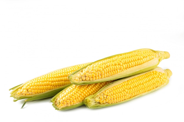 Fresh corn isolated on white background