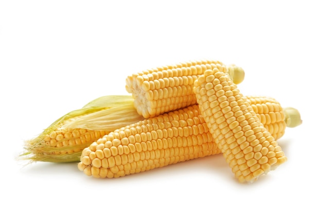 Fresh corn isolated on a white background