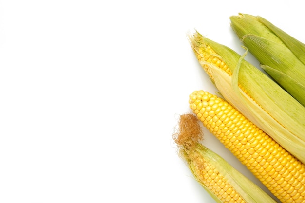 Fresh corn isolated on a white background