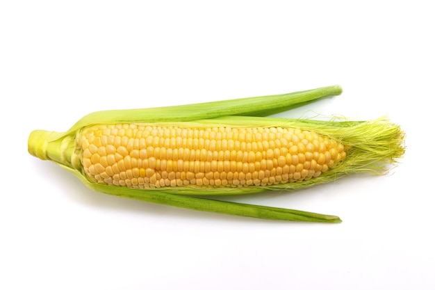 Photo fresh corn isolated on white background