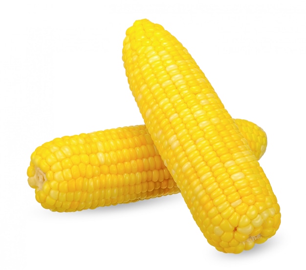 Fresh corn isolated on white clipping path