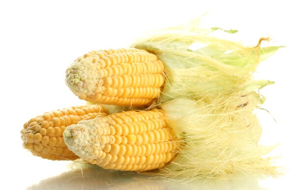 Свежая кукуруза на белом