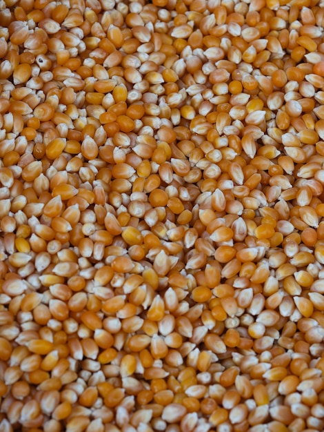 Photo fresh corn kernels at the market