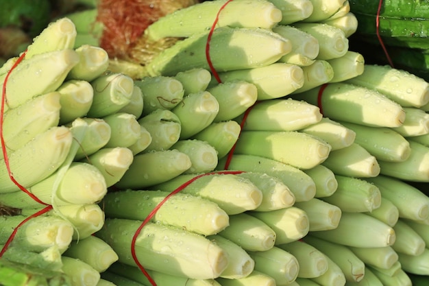 fresh corn at market