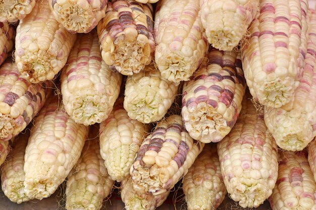 fresh corn at the market 