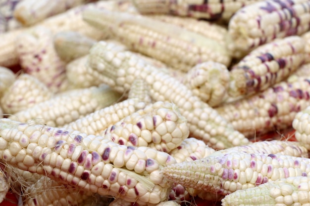 fresh corn at market