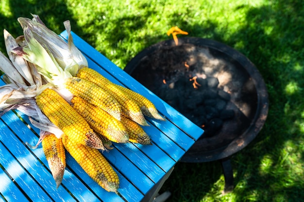 Fresh corn n the cob on wooden garden table