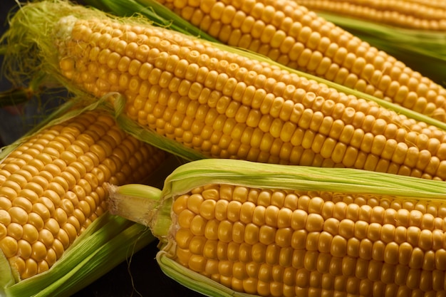 Fresh corn on rustic wooden table