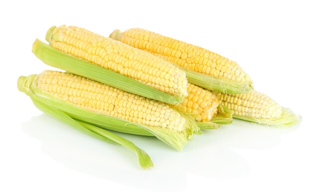 Fresh corn vegetable isolated on white