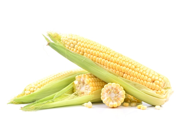 Fresh corn on a white background