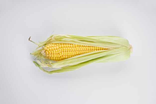 Fresh corn on a white background