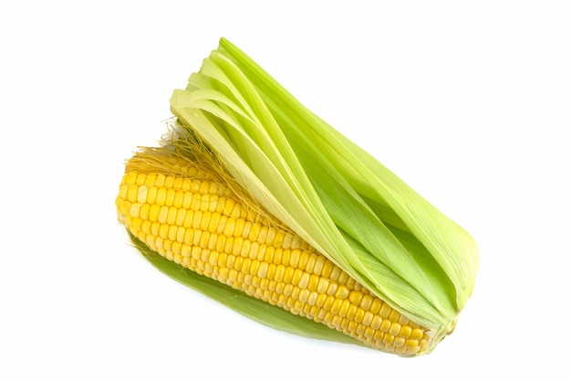 Fresh corn on white in top view