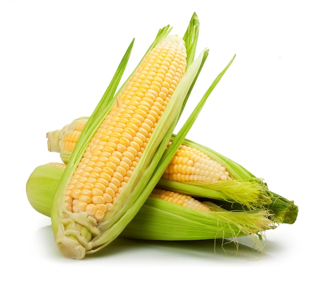 Fresh corn with husks