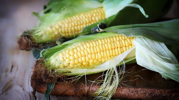 Fresh corn on a wooden surface